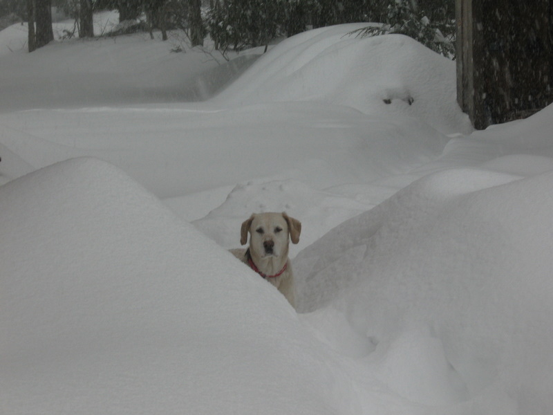 snow storm 2-14-07 054